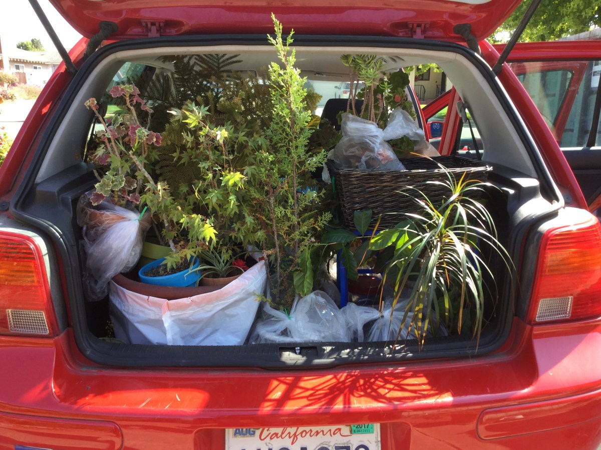 Waking up in Our New&nbsp;Home