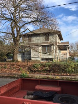 House through bare trees 1.jpg