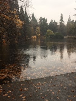 reflections lake November.jpg