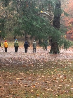 tai chi class LH november .jpg