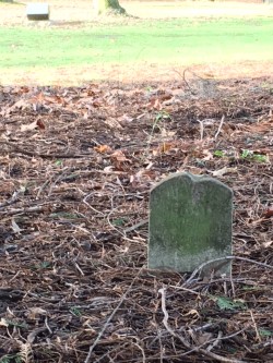 genevieve gray's grave.jpg