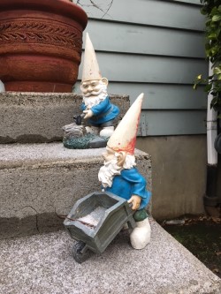 gnomes begin snow.jpg