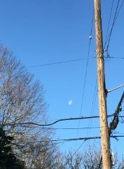 moon-morning.jpg