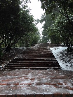 park steps snow.jpg