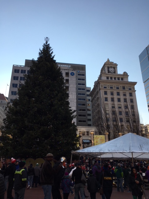 unlit tree downtown .jpg
