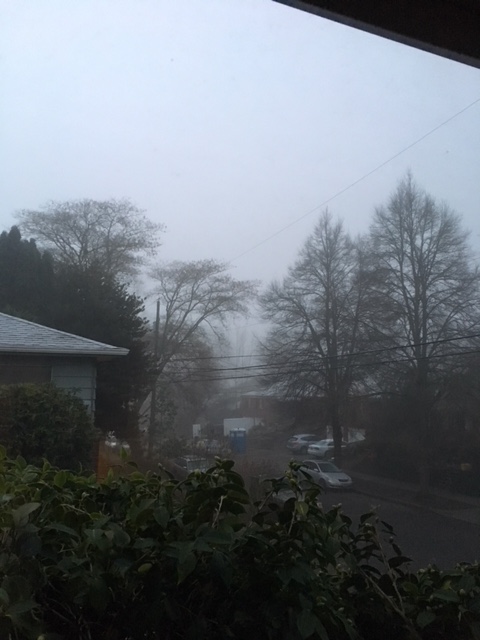 winter solstice fog.jpg