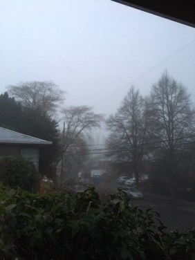 winter solstice fog.jpg
