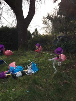 flamingo new year.jpg