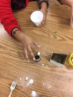 hands making rocks.jpg