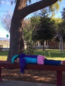 Liza mission park bench.jpg