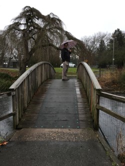 nels crystal springs bridge.jpg