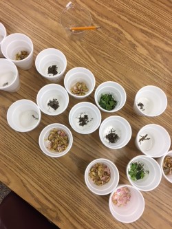 rocks in cups from above.jpg