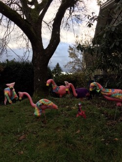 womens march flamingos.jpg