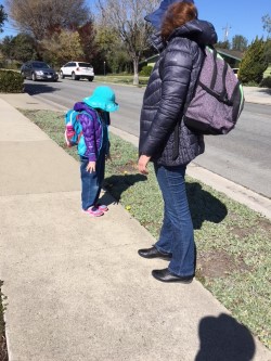 Liza staring at flower.jpg