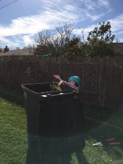 liza with yard waste.jpg.jpg