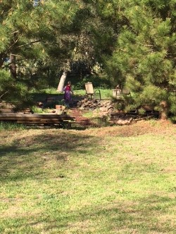 Liza yard Thomas's.jpg