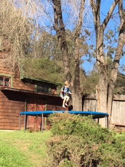 Rhys trampoline.jpg