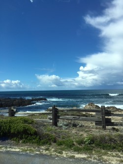 fence and clouds asilomar.jpg