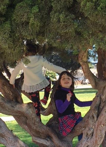 Liza in a tree