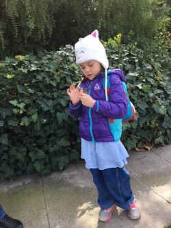 Lizas flower arranging.jpg