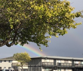 rainbow.jpg