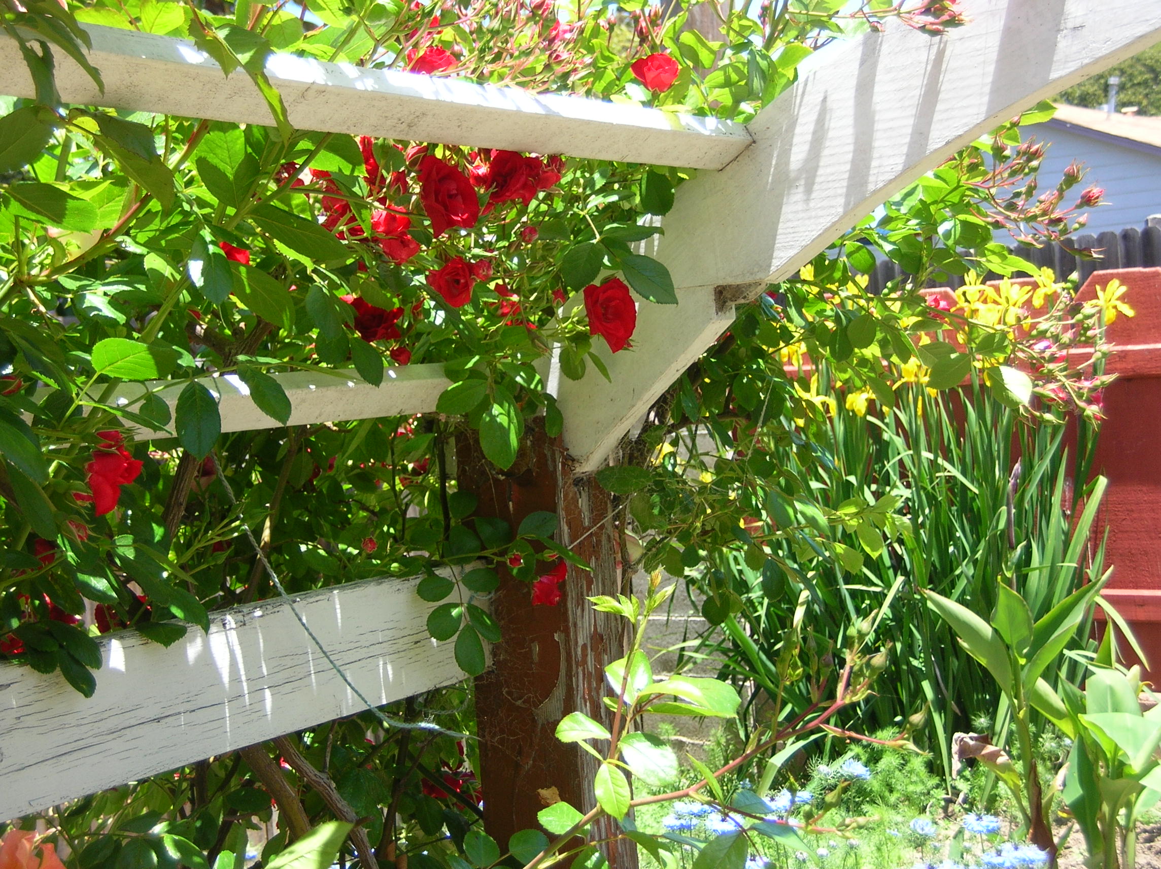 garden tour lompoc 001.jpg