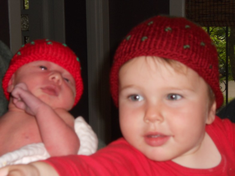 Kestrel comes home 096.jpg